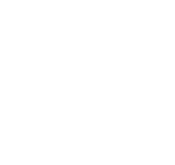 SAINT ROCH SECURITE