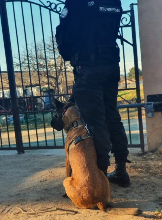Agent de sécurité cynophile, Saint Roch Sécurité, Gardiennage